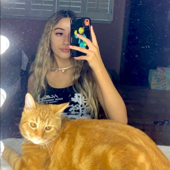 Meet your Posher, Bella - Picture 1 of 1